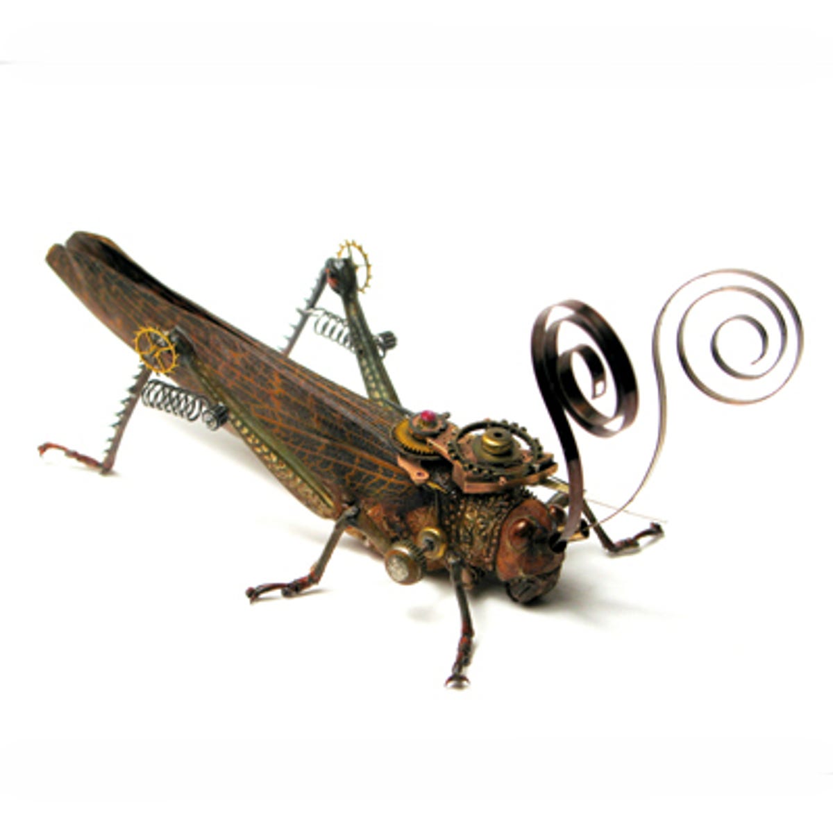 Grasshopper108.jpg