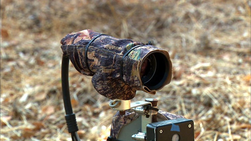 High-tech cameras capture wildlife