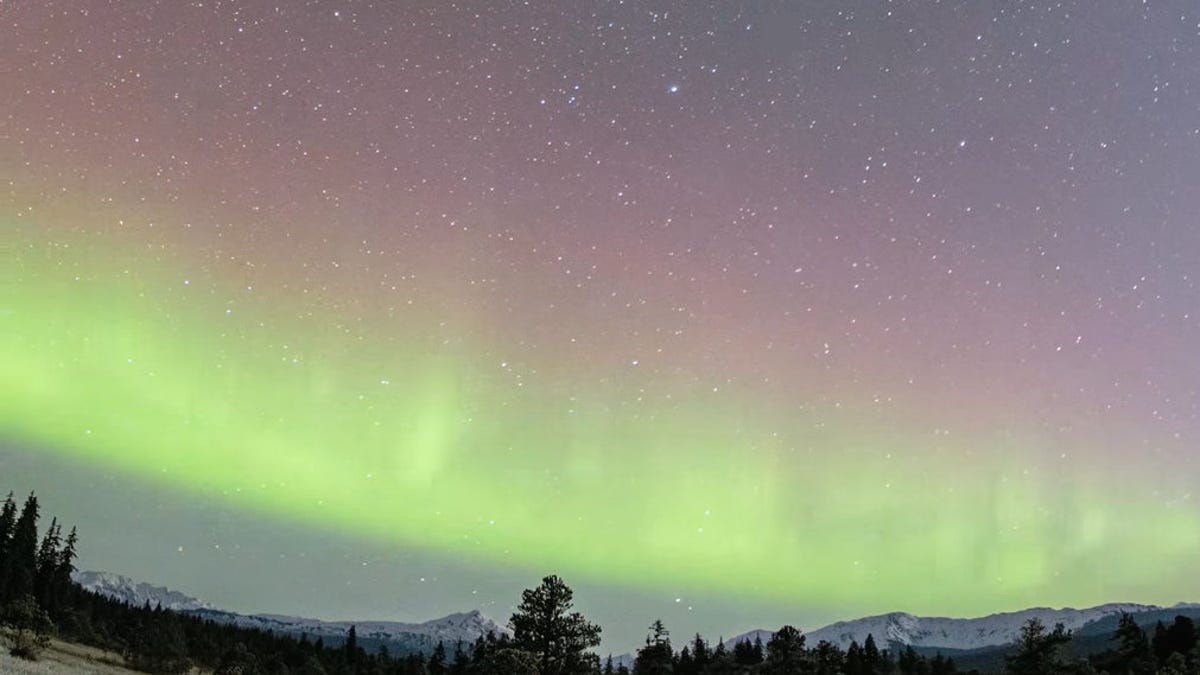 Green and pink waves of aurora light over tress and snowy peaks with a sprinkling of stars all across the sky.