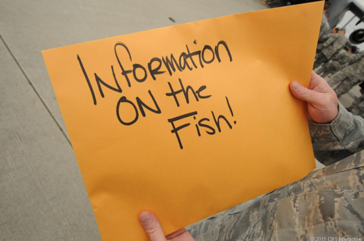 Information_on_the_Fish.jpg