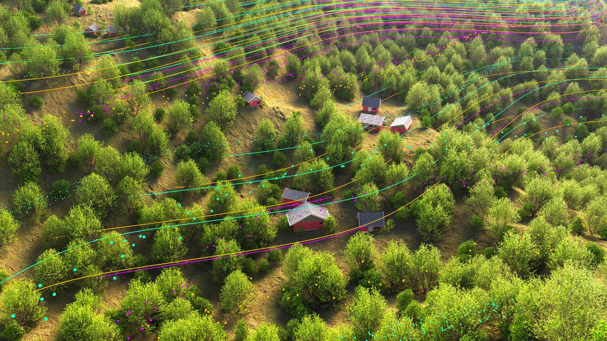 Illustration showing rural households, with lines over the landscape suggesting wireless signals