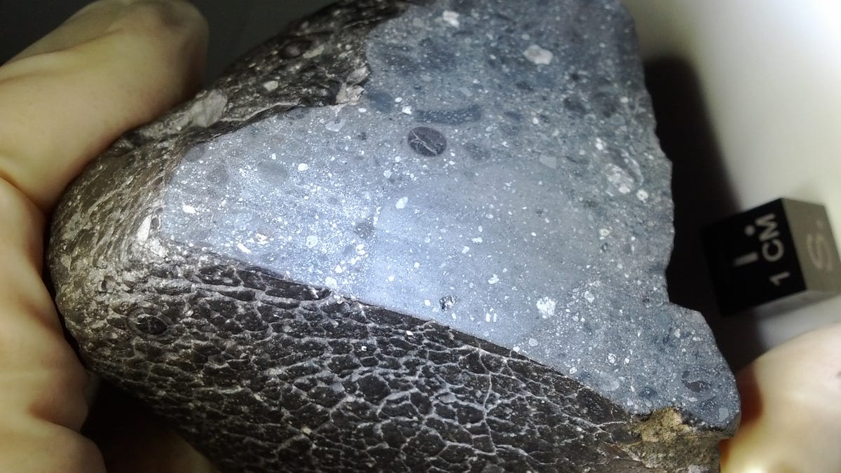 Shiny dark piece of Martian meteorite shows smaller piece of rock fragments cemented inside it.