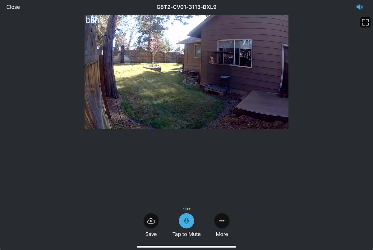 La vista en vivo de un patio trasero desde una cámara Blink Outdoor 4.