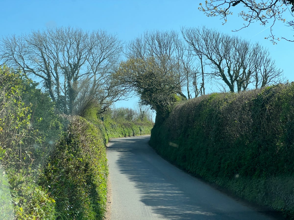 Driving in rural England, where hedge rises high