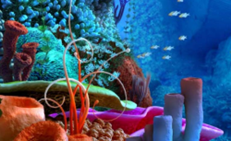 Coral reef screensaver
