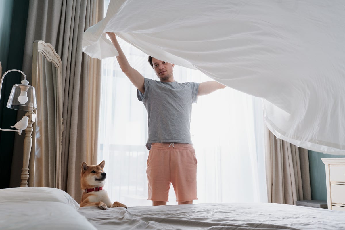 Man and dog putting bed sheet on bed