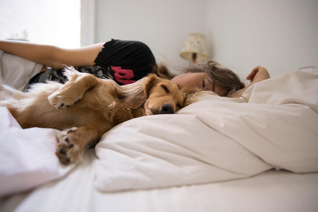A woman sleeping in her bed next to a dog