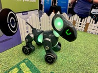 <p>Pyxel: The robot dog you code.&nbsp;</p>