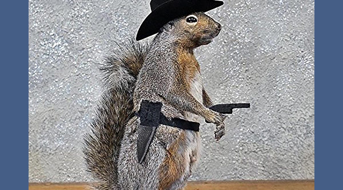creepy-cowboy-squirrel