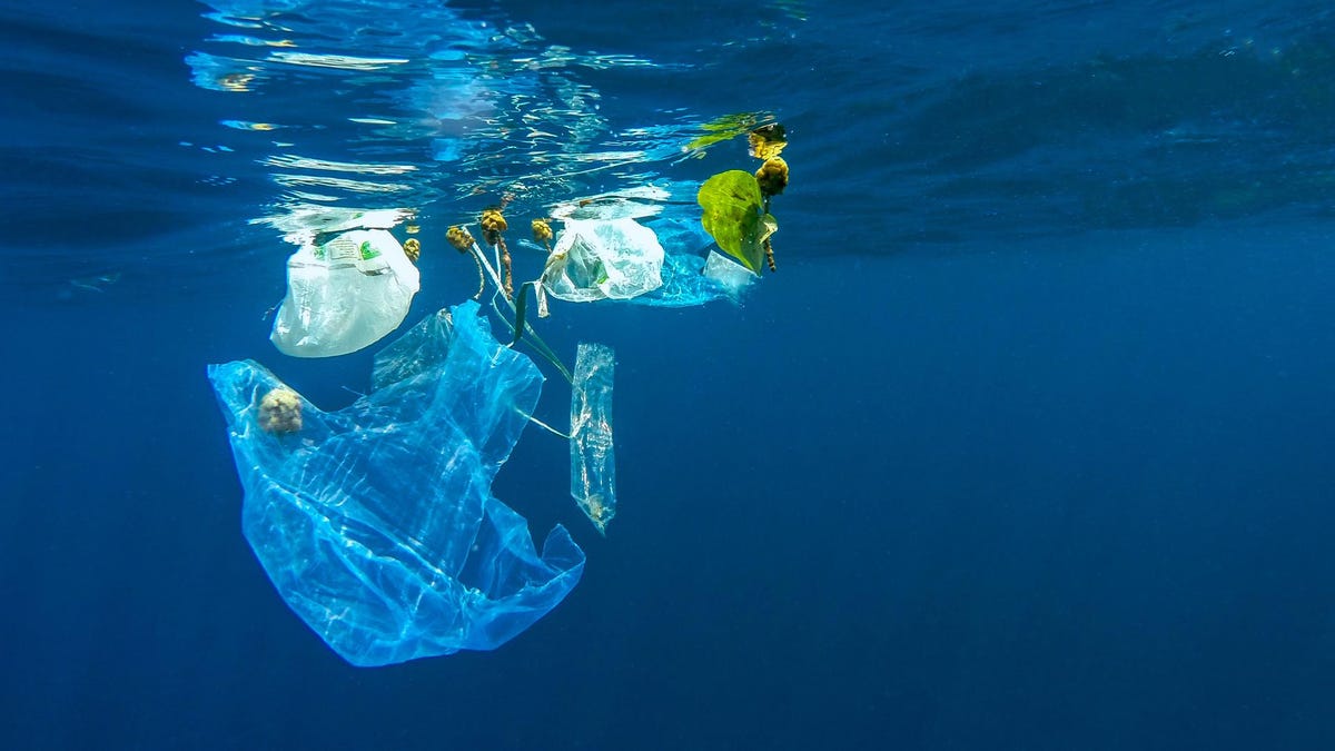 Plastic Bags In Water