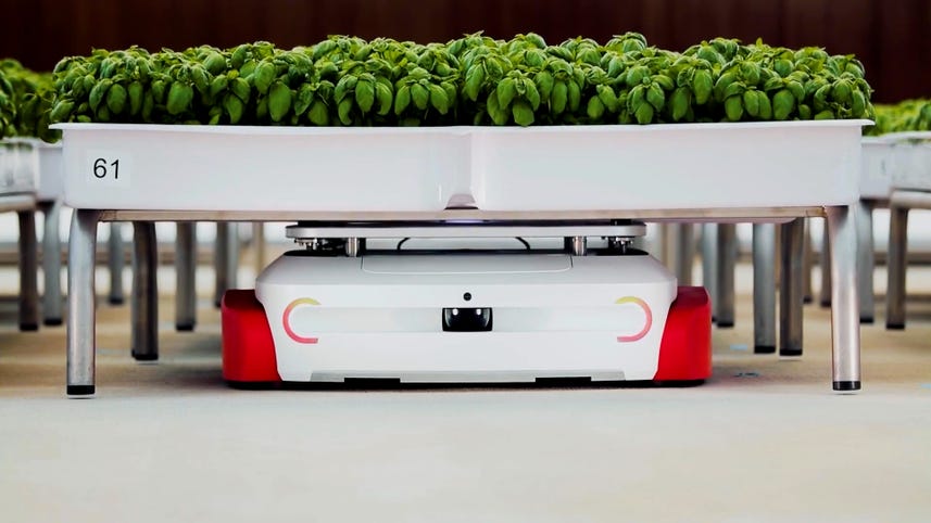 A New Kind of Robotic Farming Moves the Work Indoors and Dispenses With Tractors
