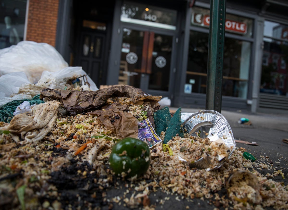 Chipotle's Garbage Ripped Open By Rats In Brooklyn