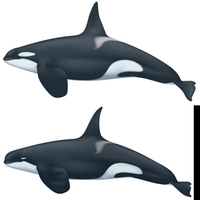 killerwhales