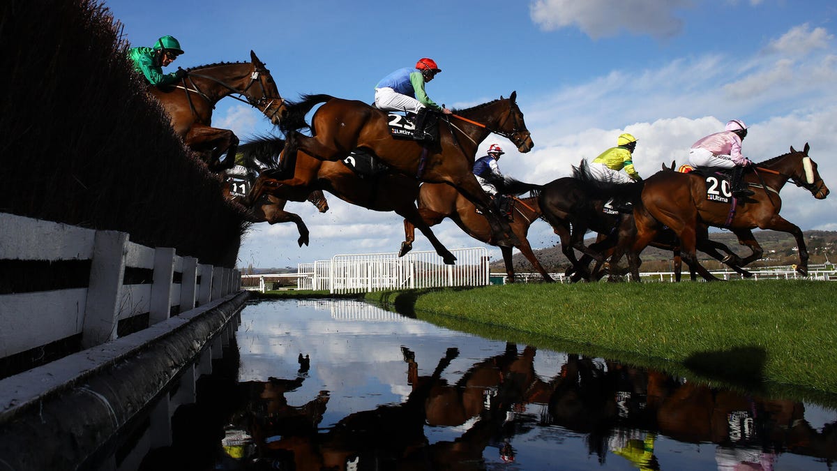 Side-on action image of a group of horses and their riders landing after negotiating a water jump at the Cheltenham Festival horse racing event.