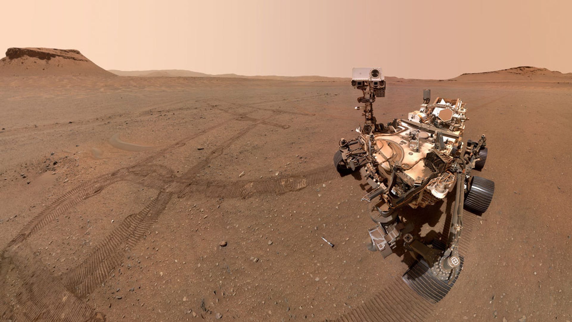 NASA Perseverance rover poses in a full-body selfie on a brown, pebbly Mars landscape. Horizon line in the distance, wheel tracks on the ground, sample tubes on the surface, including one right in front of the car-sized wheeled robot.