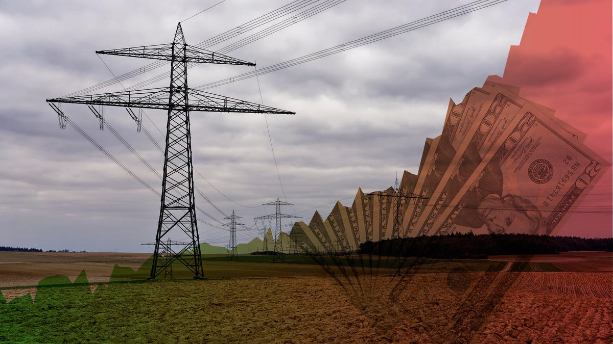 Many power poles in a field at the edge of the forest. A transparent diagram symbolizes the rising cost of electricity. In the background of the diagram a handful of dollar bills