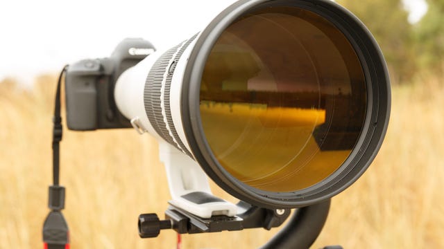 The massive objective lens at the business end of Canon's 600mm supertelephoto lens will draw stares from curious passerby.