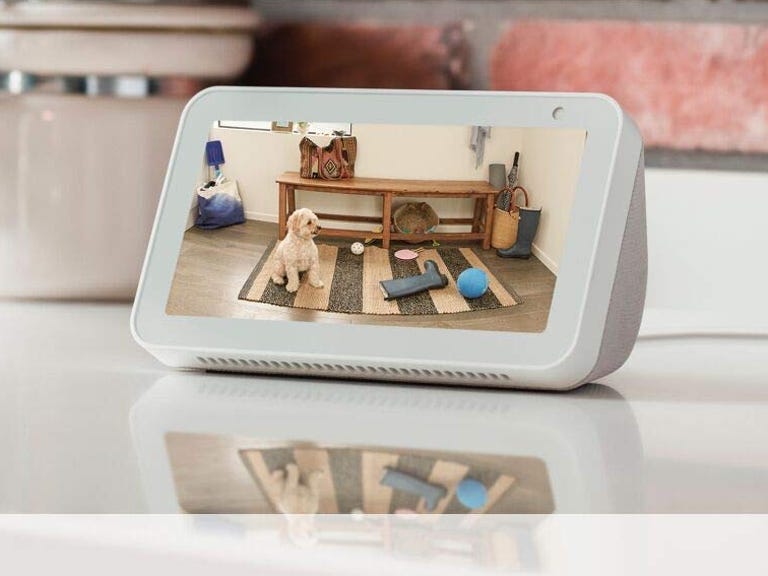 An Echo Show on a white indoor table showing an entryway view from the Ring Stick Up cam, where a dog plays on a rug.