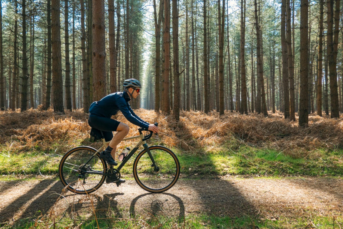 Cyclist on a sunny forest trail