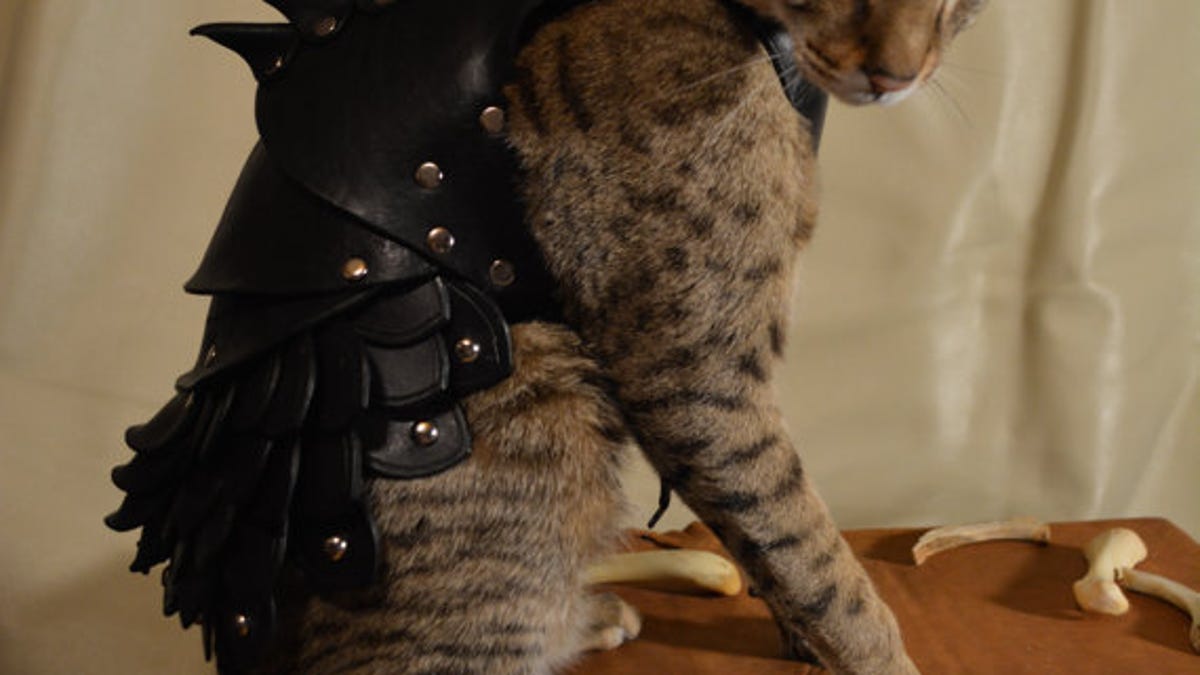 Cats already think they&apos;re Kings of your castle, and wearing this custom-made battle armor will make their claim to the throne legit.