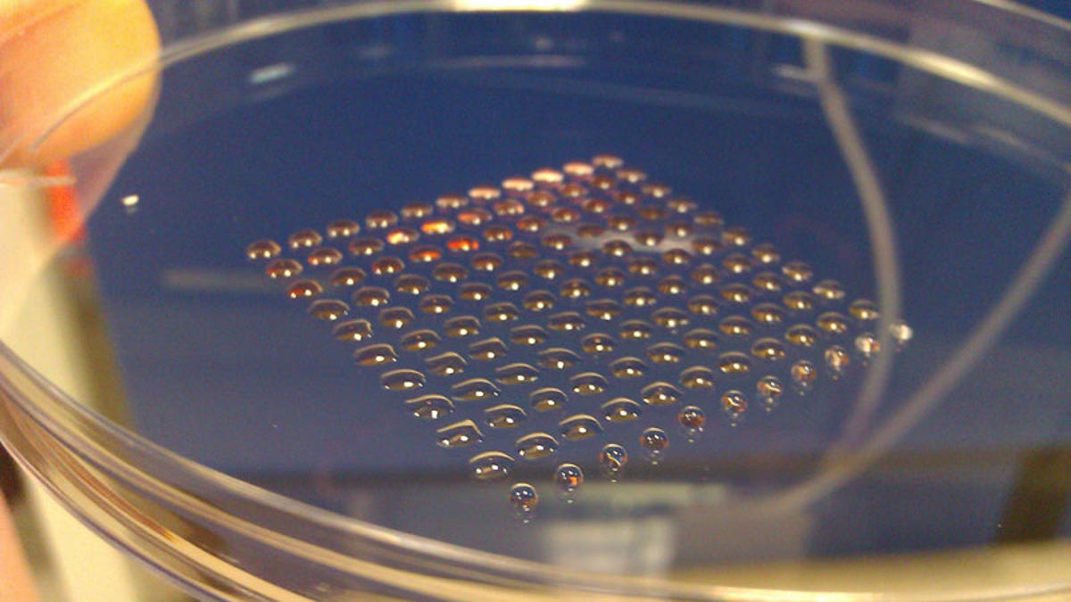 3D-printed stem cells