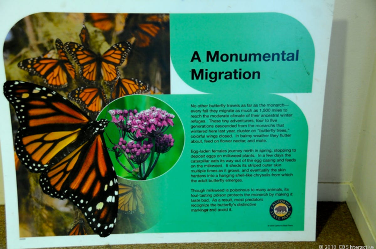 A_monumental_migration.jpg