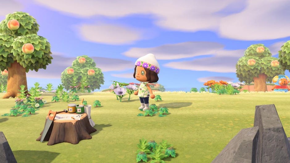 20 best Animal Crossing: New Horizons tips: From fishing to fertilizing  flowers - CNET