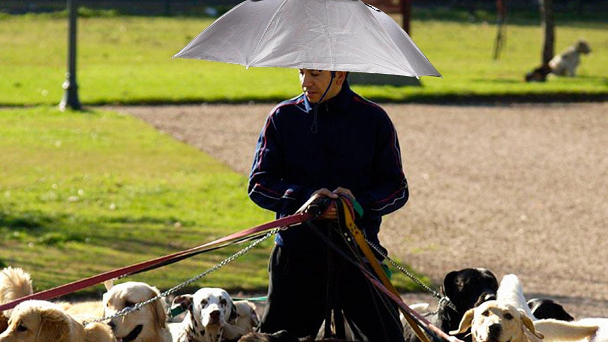 cnet-amazon-prime-day-umbrella
