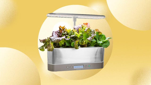 The AeroGarden Harvest Elite Slim is displayed against a yellow background.