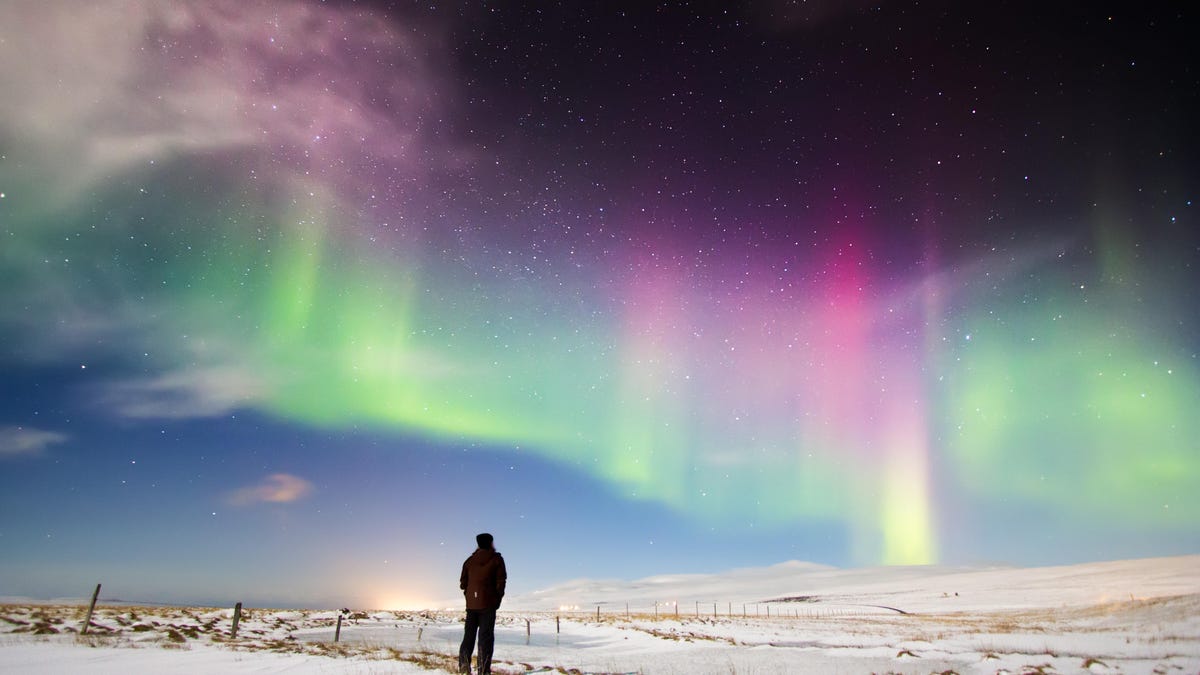 Man watching aurora borealis in north Iceland.