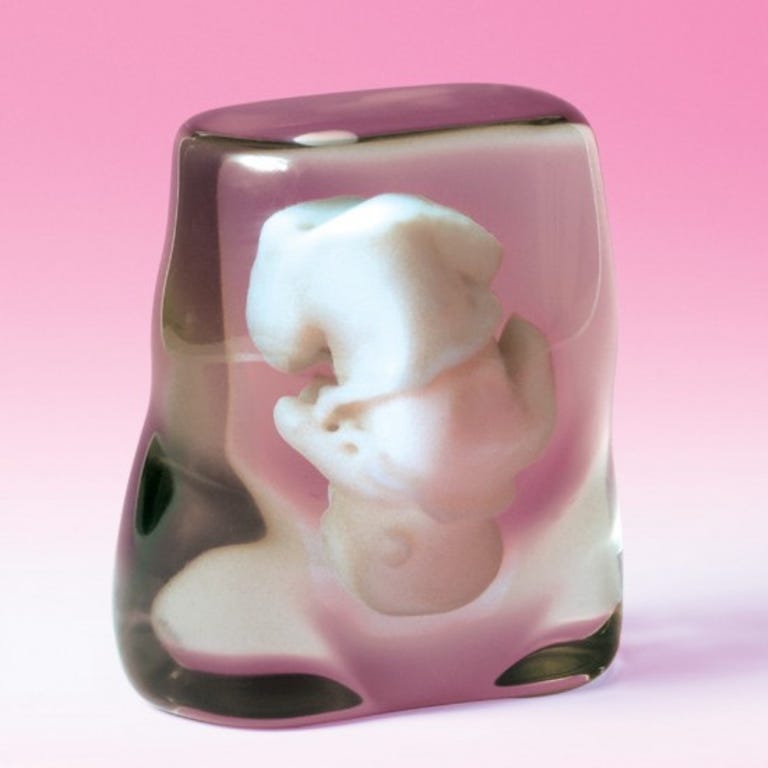 3D-printed fetus