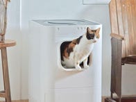 <p>LavvieBot re-imagines the self-cleaning litter box.</p>