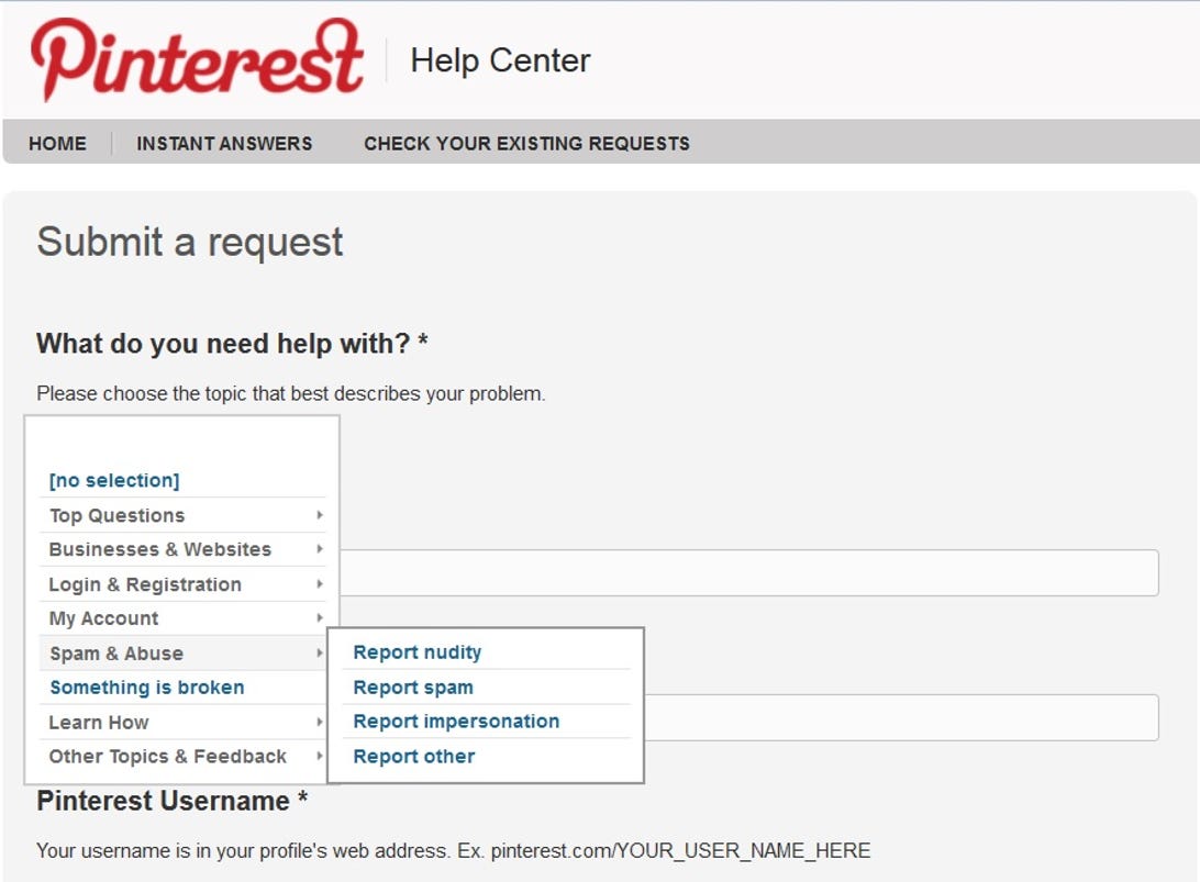 Topics for requests submitted to Pinterest via e-mail