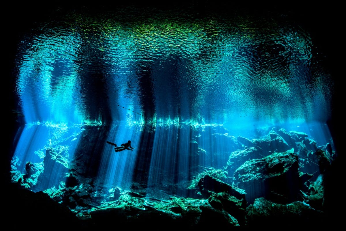 2british-underwater-photographer-of-the-year-2017.jpg