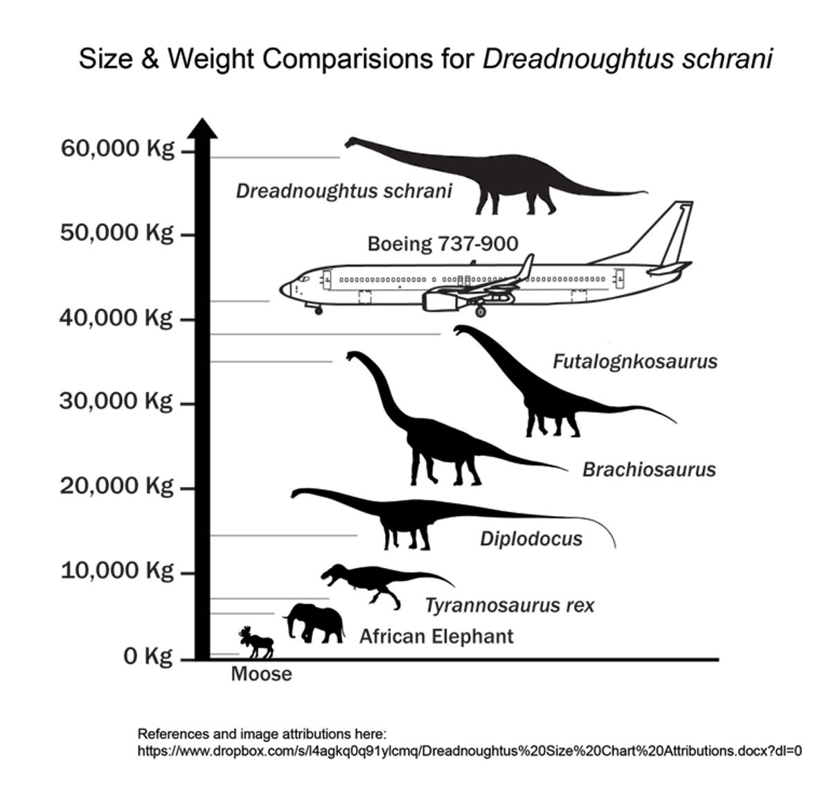 dreadnoughtus3.jpg