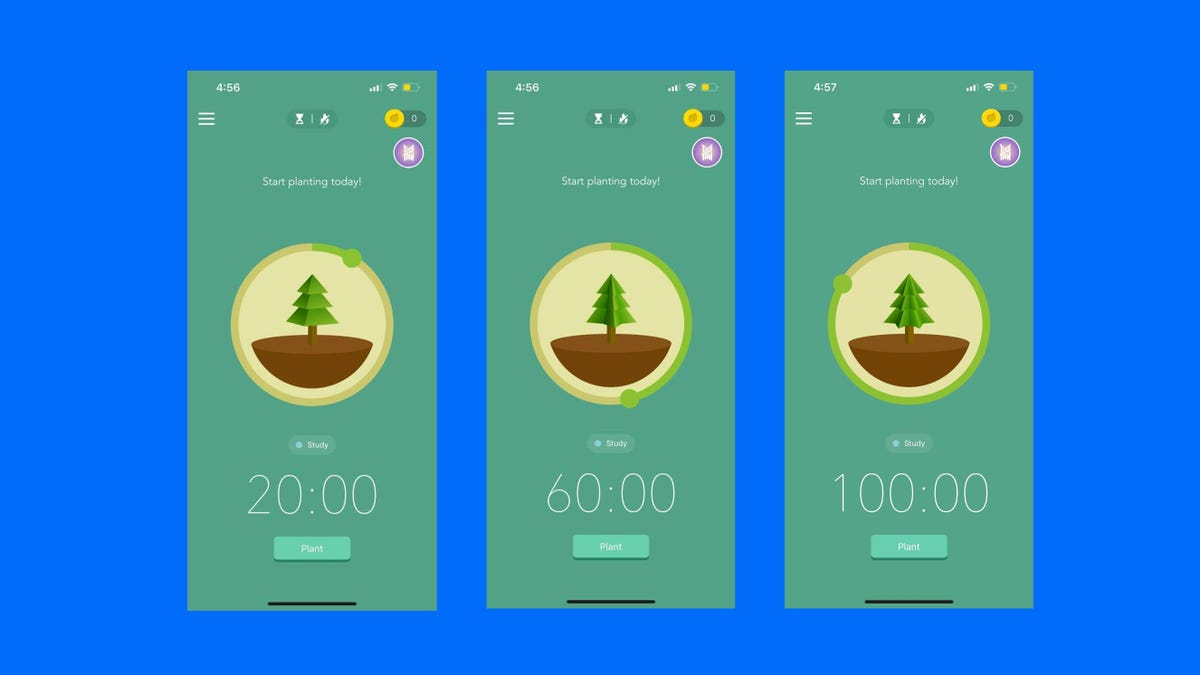 The Forest app on phone screens