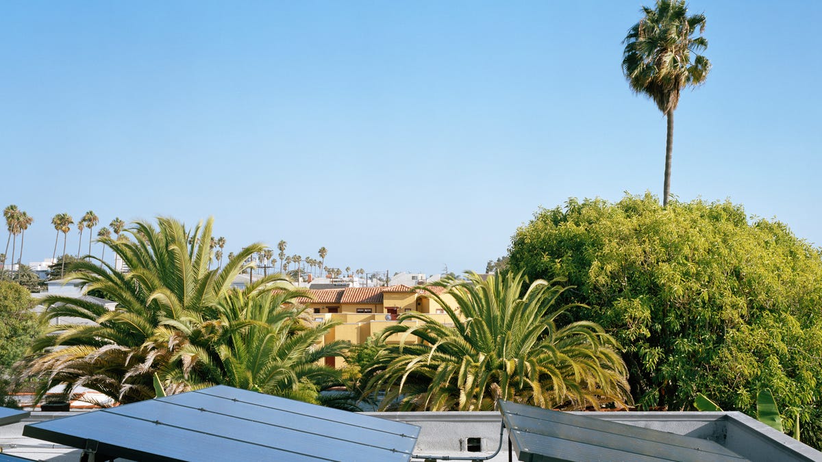 Solar panels on a terrace with palm trees in the distance.