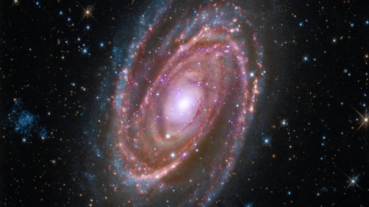 spiral-galaxy-m81.jpg