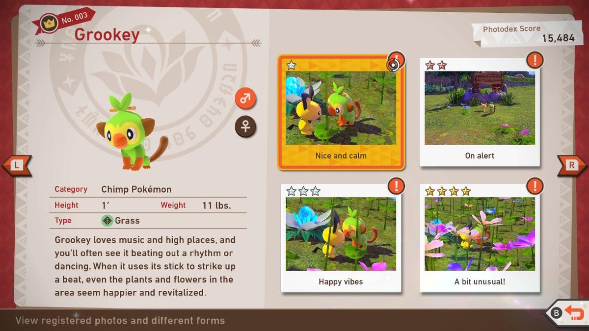 Photodex for Grookey in New Pokemon Snap