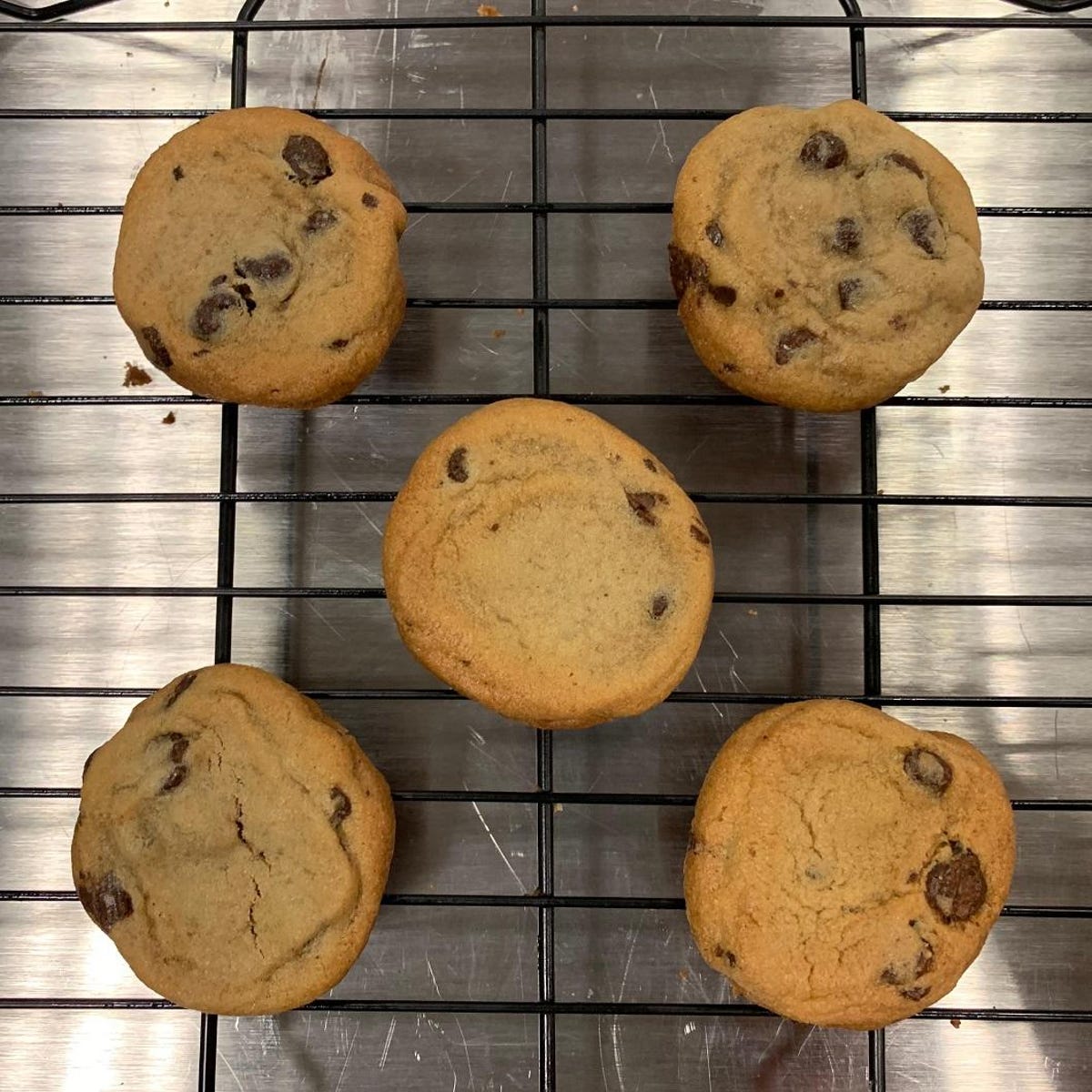 oster-toaster-oven-cookies-10-minutes