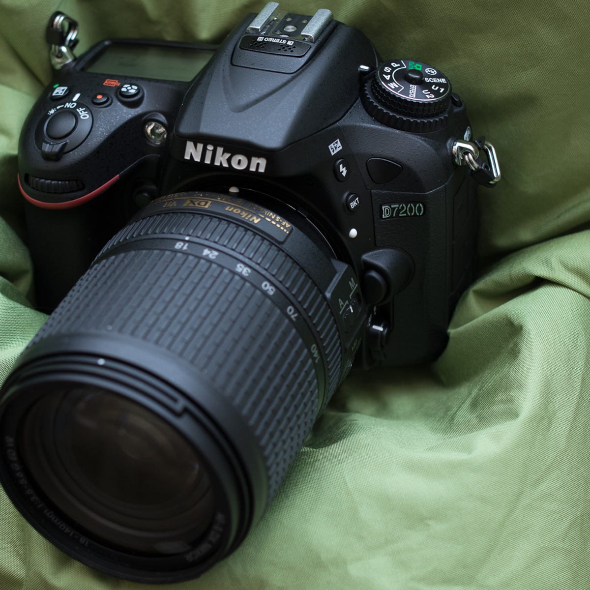 water the flower Susceptible to study Nikon D7200 Release Date, News, Price and Specs - CNET