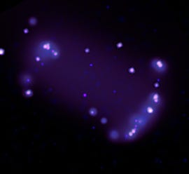 Beautiful purple splotches are seen, some emanating a white hue, on a black background.