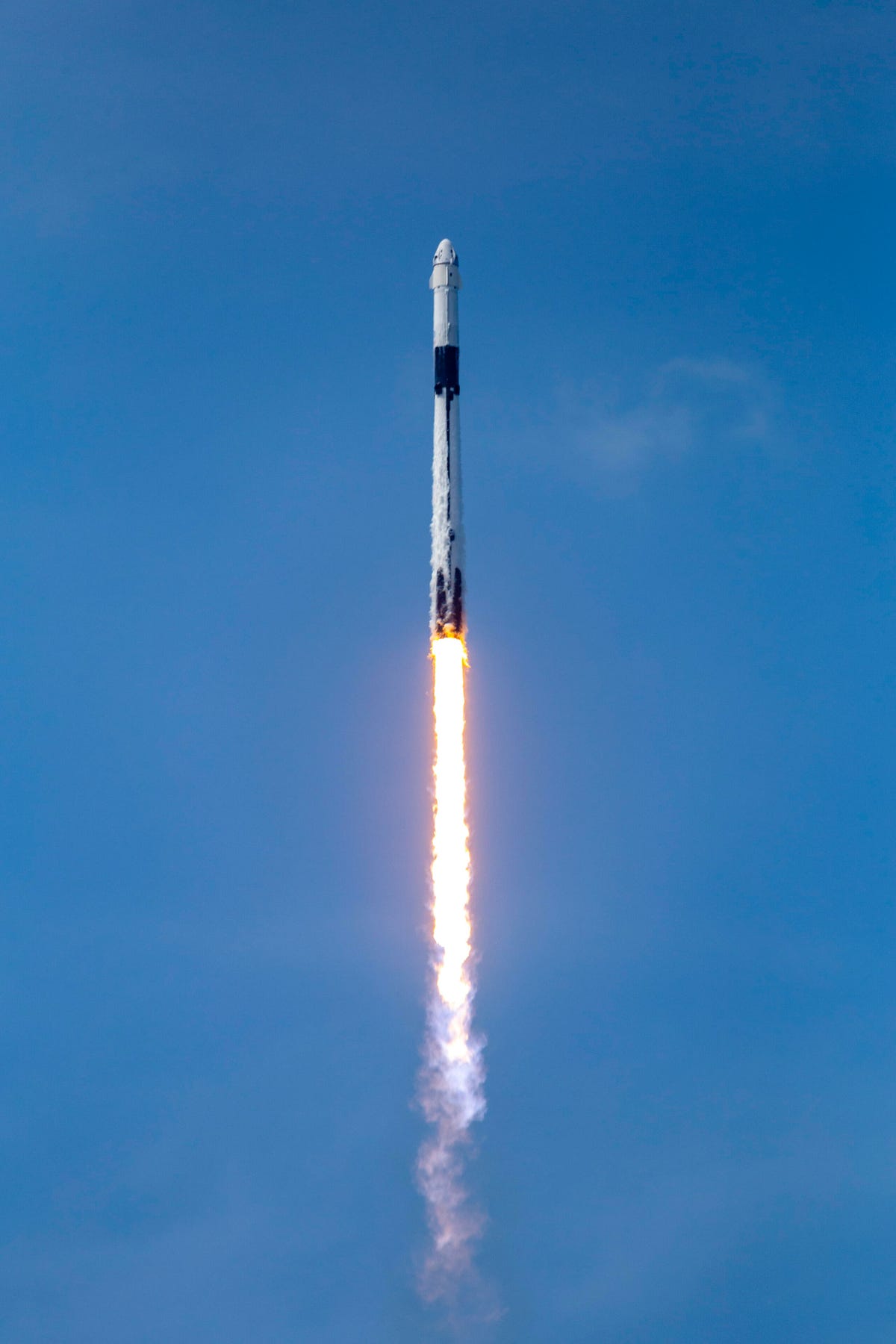 SpaceX's Falcon 9 rocket blasts upward to propel the Crew Dragon capsule into orbit.