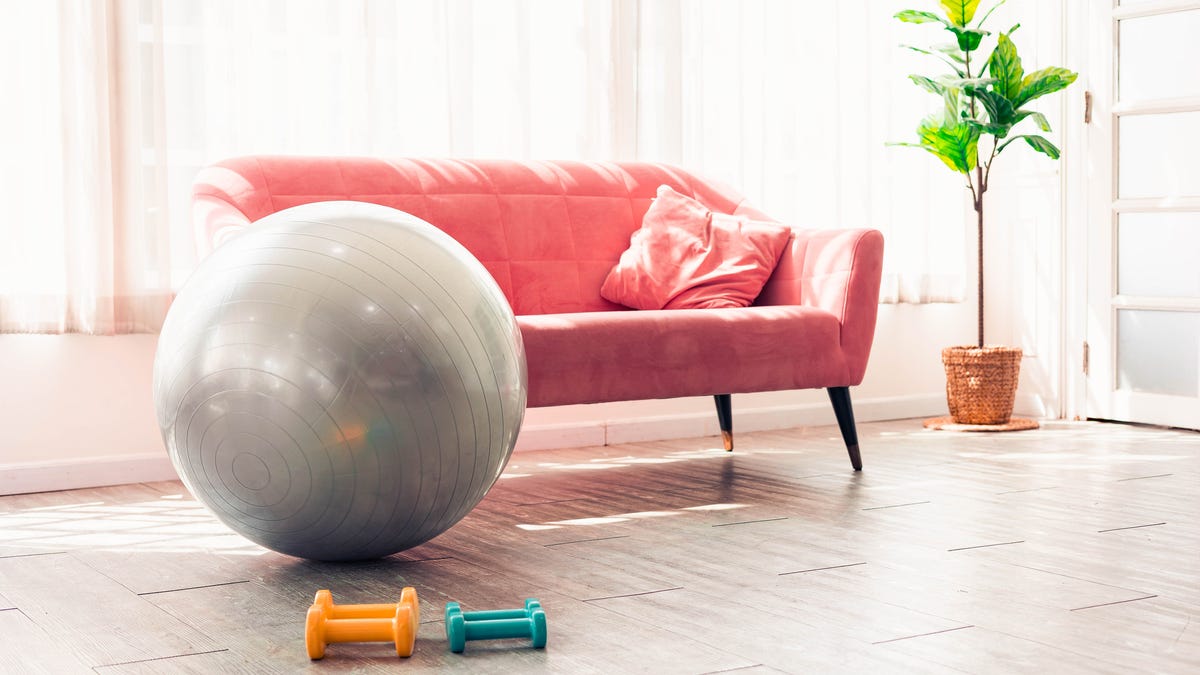 A medicine ball and dumbbell set in front of a pink couch.