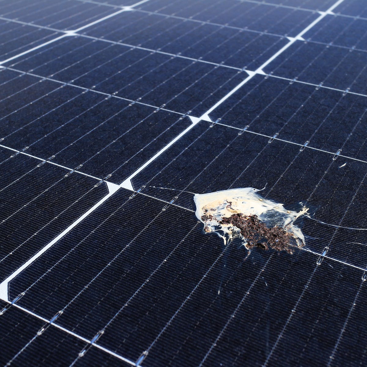 Solar Panels Bakersfield