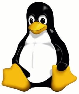 Linux_penguin.jpg