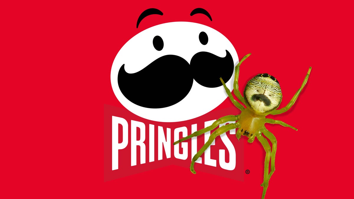 pringles-spider-3.png