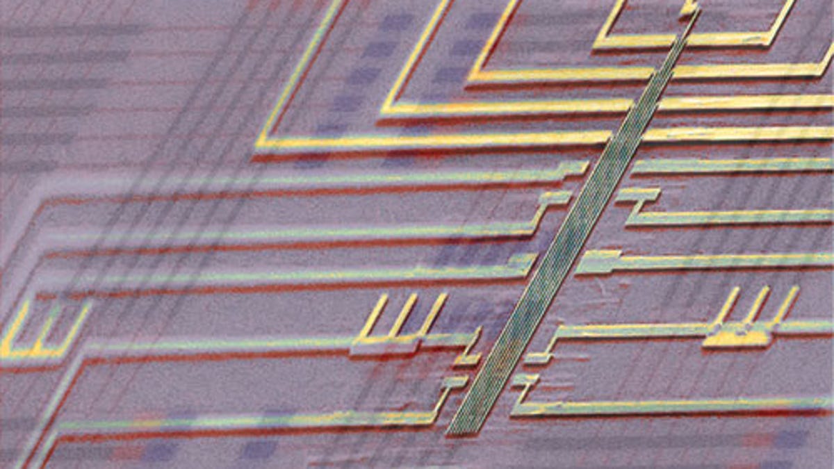 Programmable nanowire nanoprocessors