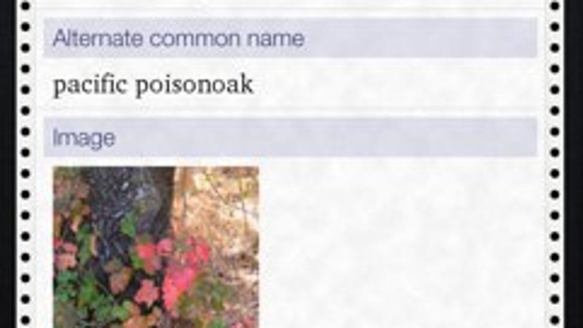 The correct Siri response to poison oak.