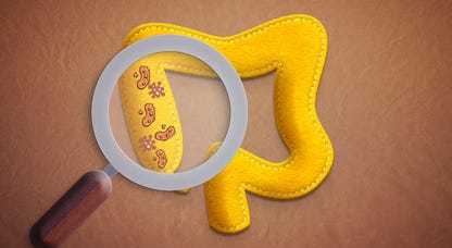 An illustration of the gut microbiome, magnified by a magnifying glass